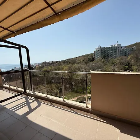 Apartment Golden Lemon